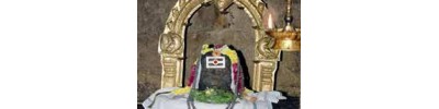 திருவேங்கைவாசல்